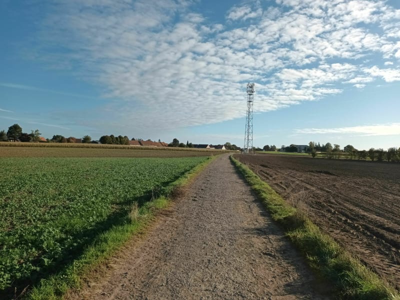 Auchy-les-Mines - Chemins et cavaliers - Auchy-les-Mines
