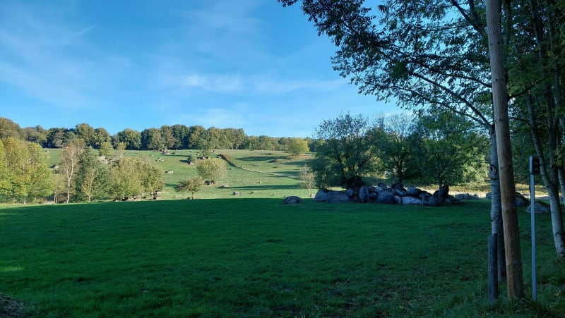 Marche Nordique : Ronde del Peiraire - Saint-Salvy-de-la-Balme