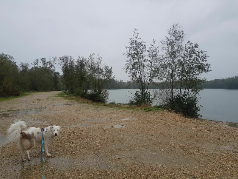 Balade autour du lac des Orcières - Malafretaz