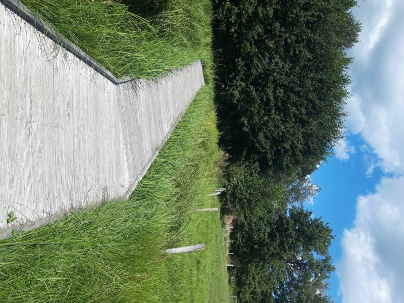 Marche nordique à  Cournon - Cournon-d'Auvergne
