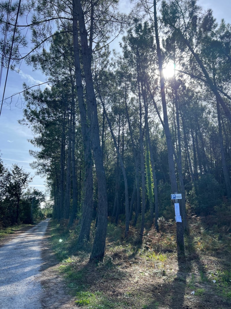 Running forêt de Capbreton - Capbreton