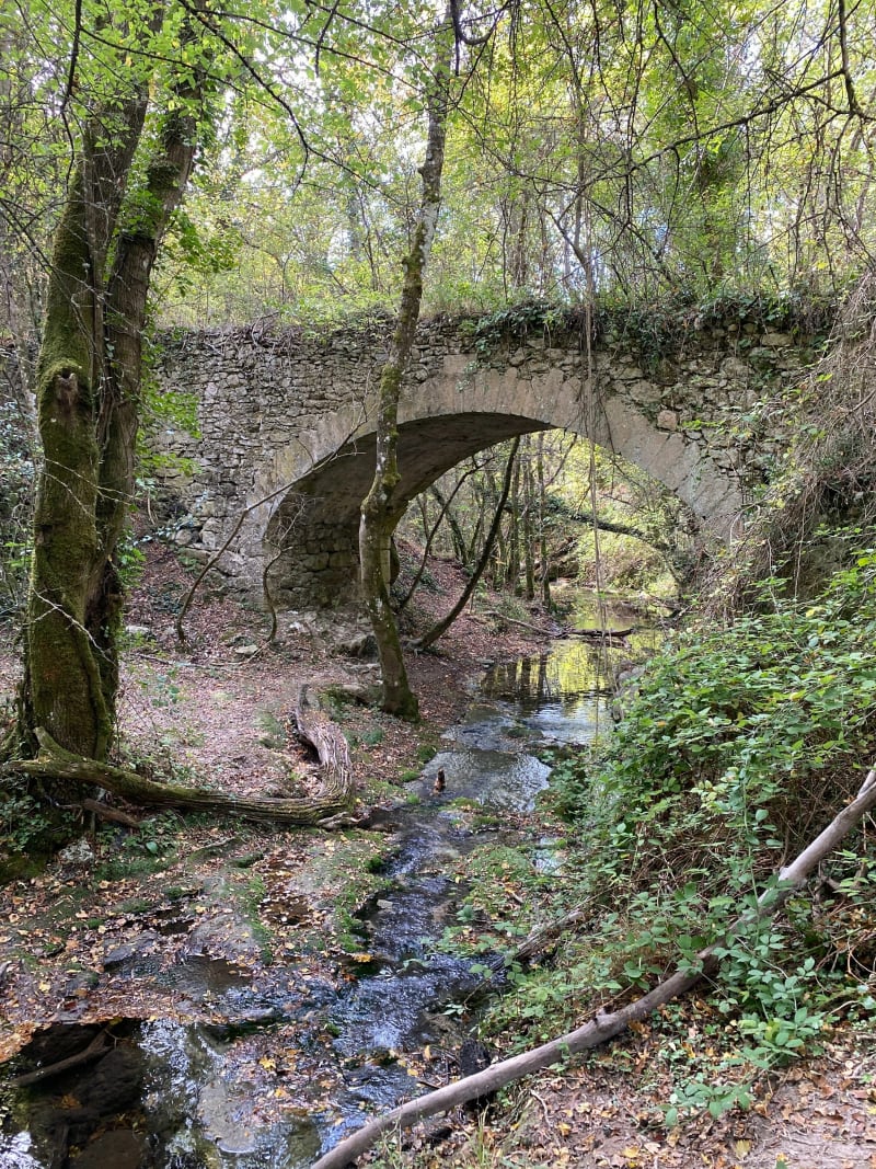 Balade, Vallon de l’Aiguebrun - Buoux