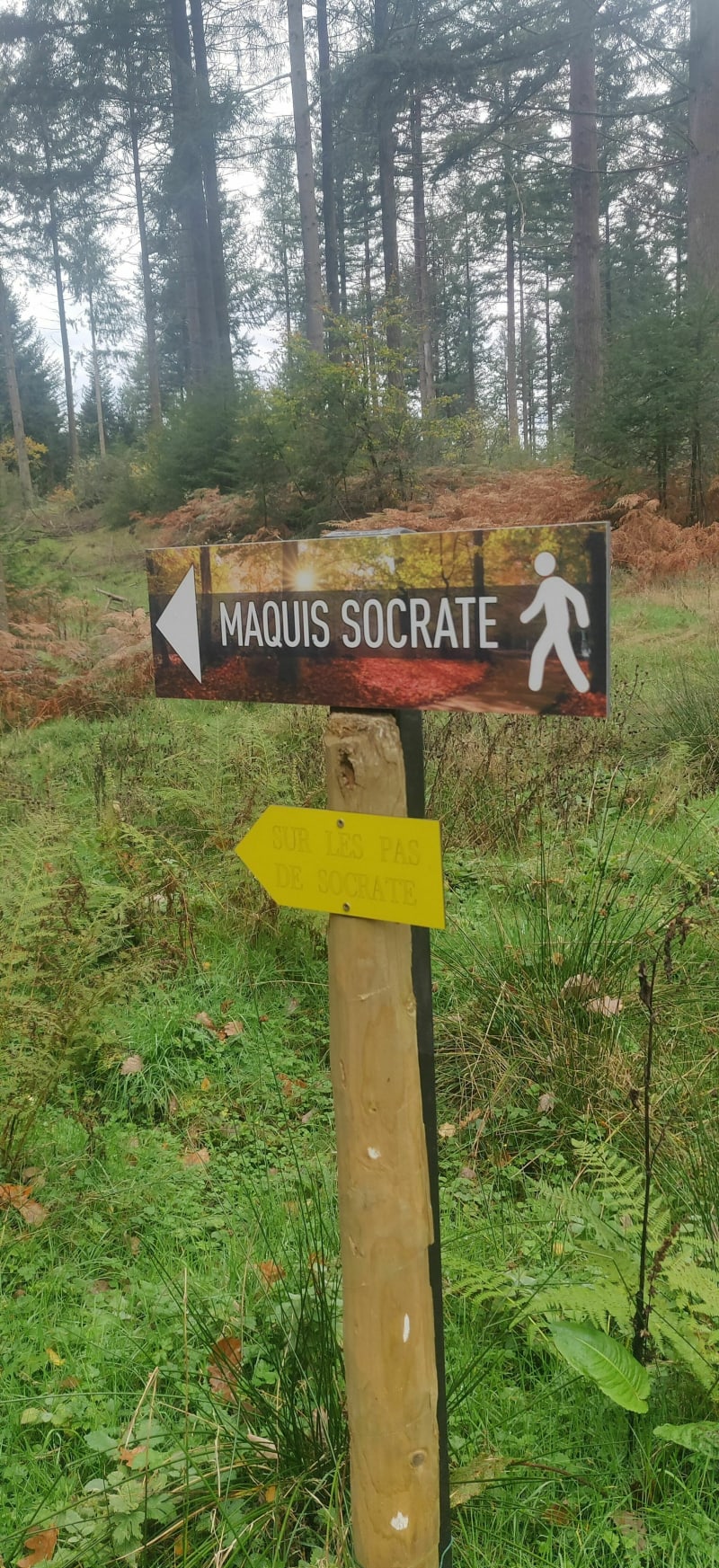 Sur les traces du maquis et des champis - Anost