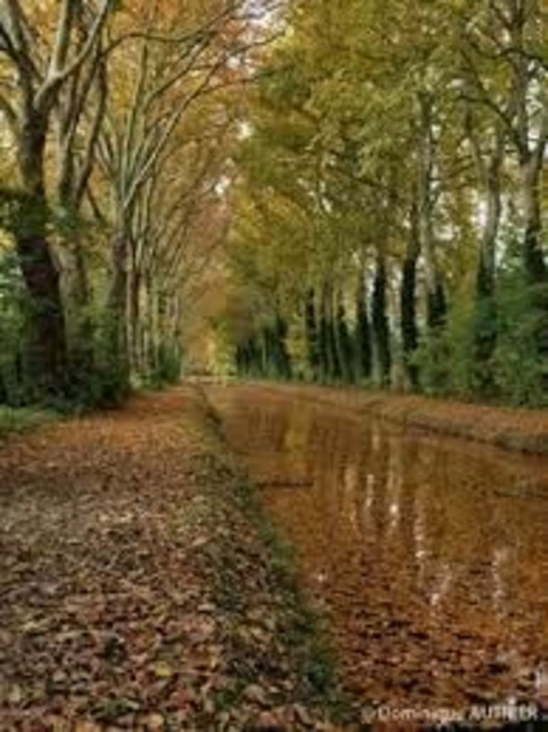 Du Gravier en passant par le Chautay - La Guerche-sur-l'Aubois
