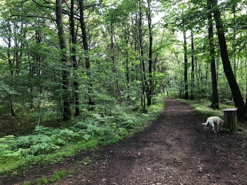 Sentier des 2 rivières - Fouquereuil