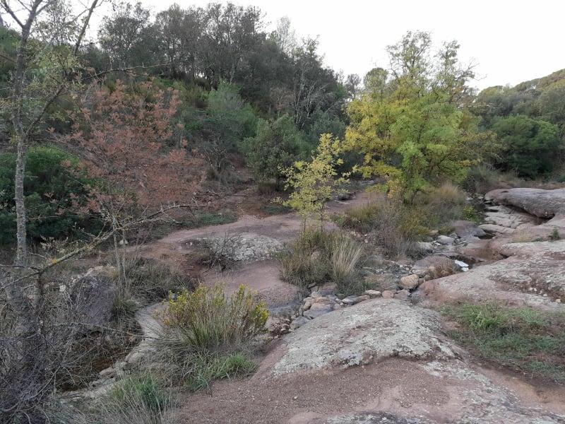 Balade dans la forêt autour de la Bouverie - la Bouverie