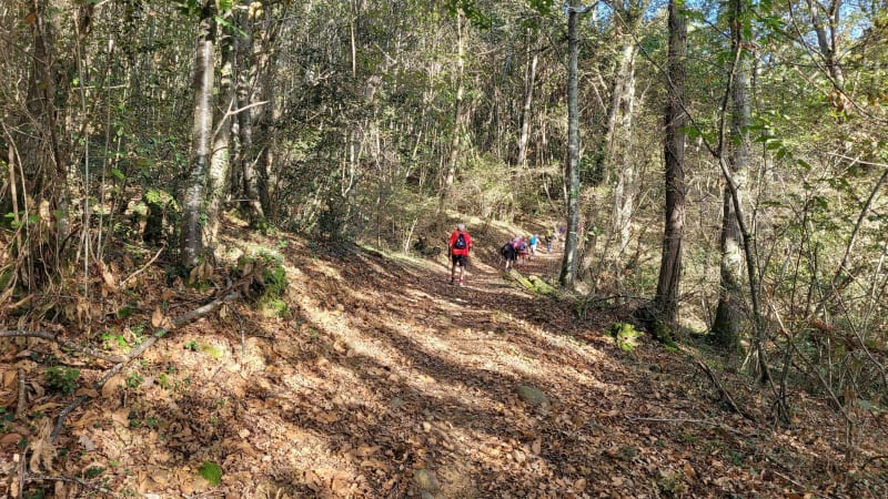 Marche nordique autour du Mardaing entre Ibos et Azereix - Ibos