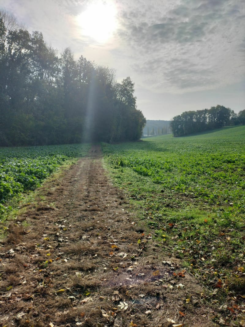 Entre champs, bois et village d'Andeville - Andeville