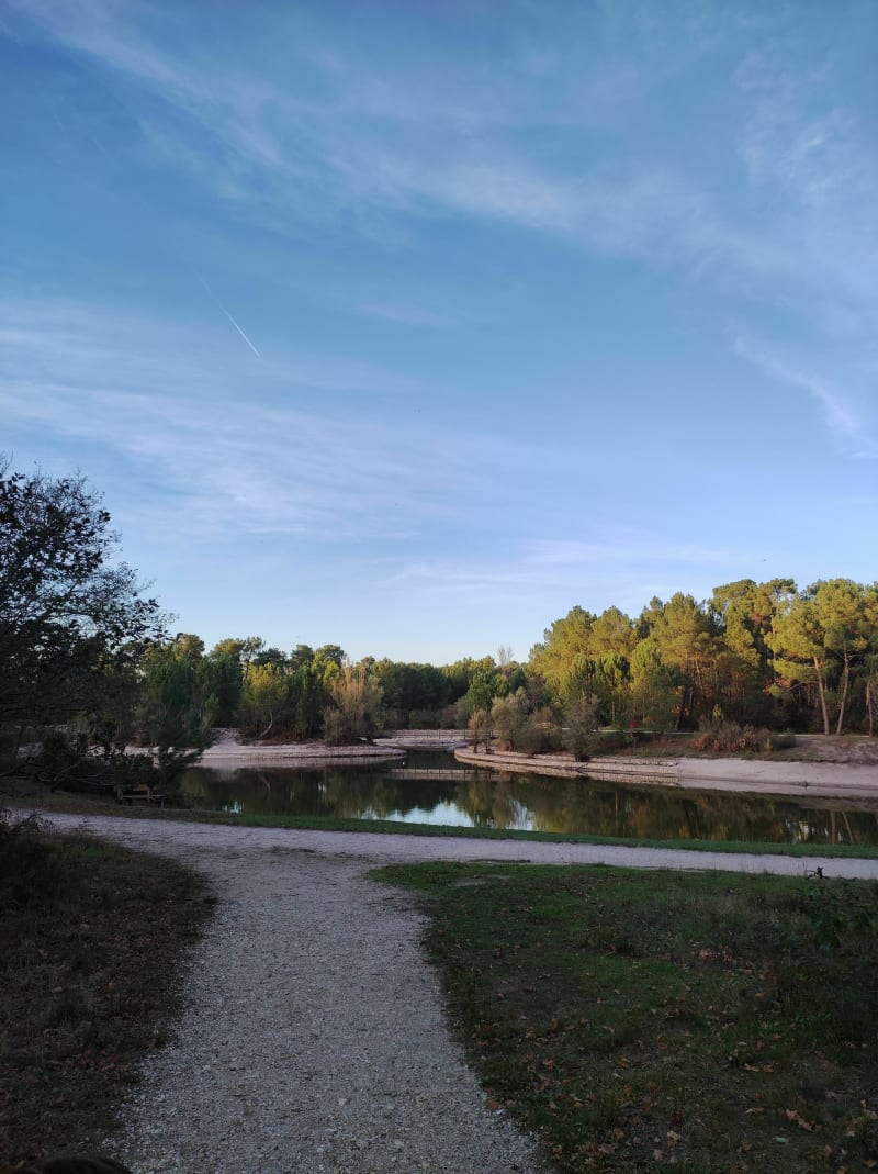 Balade au Lac de Romainville - Pessac