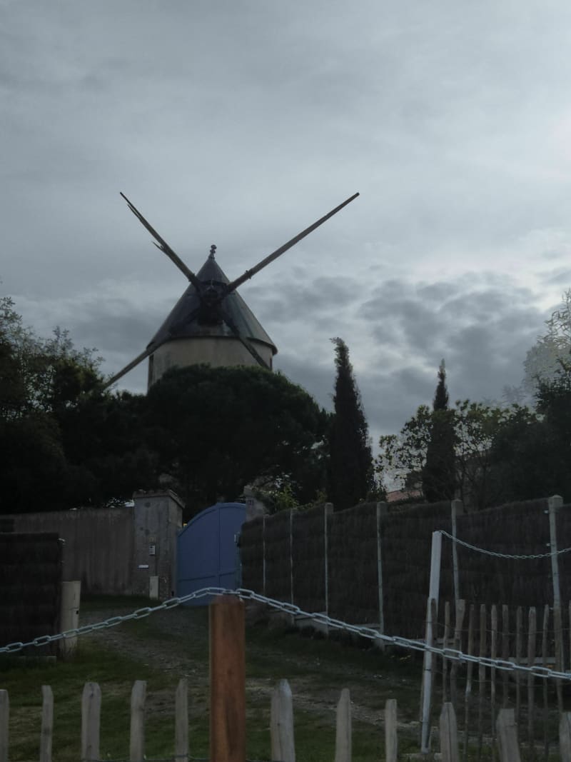 Les moulins la Gueriniere - La Guérinière