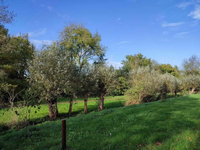 Le long de la gronde Giberville - Giberville