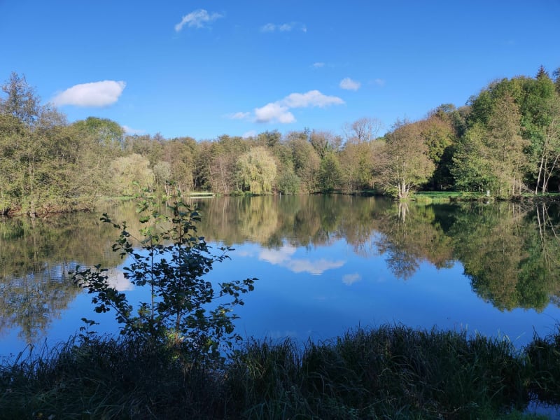 Tour du lac Neyton - Dagneux