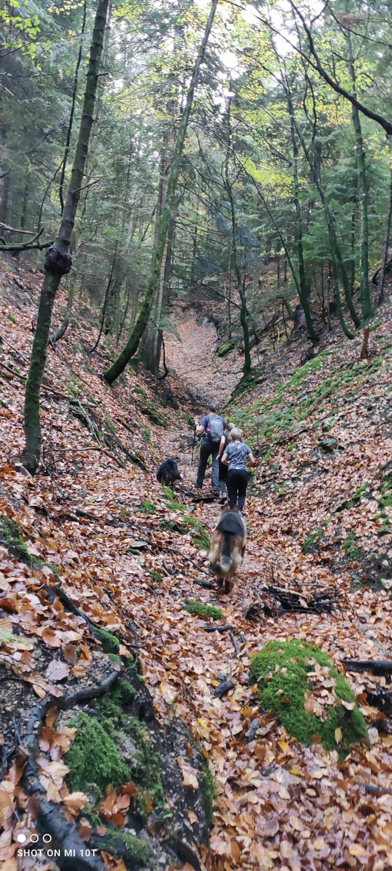 Randonnée trail Lalouvesc - Lalouvesc