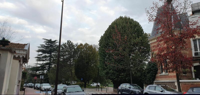 Bords de Marne et bois de Vincennes à vélo - Saint-Maur-des-Fossés
