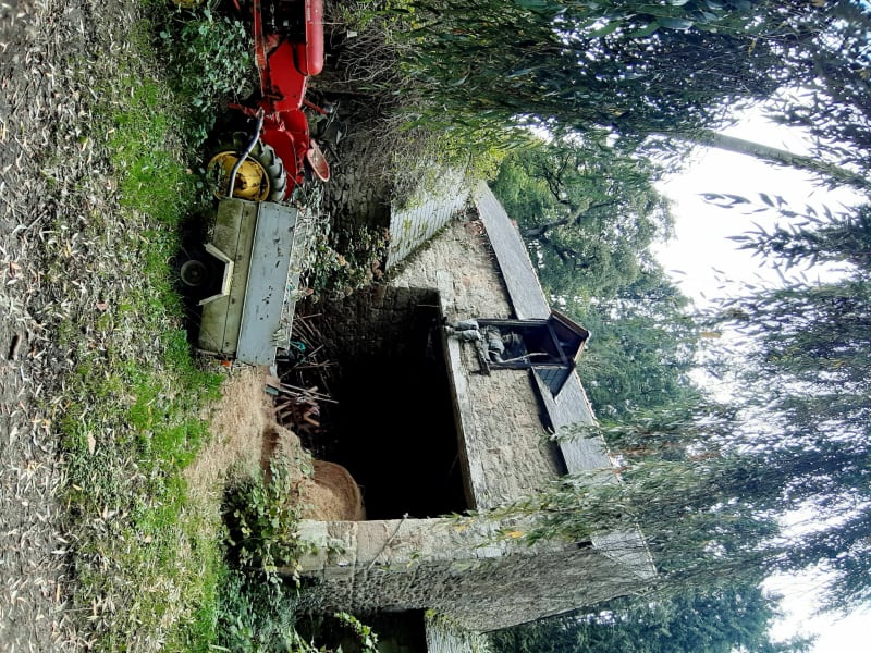 Vic Le bois de la perche - Quintin