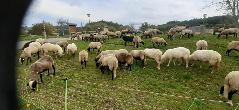 Village de Cublize et le lac - Cublize
