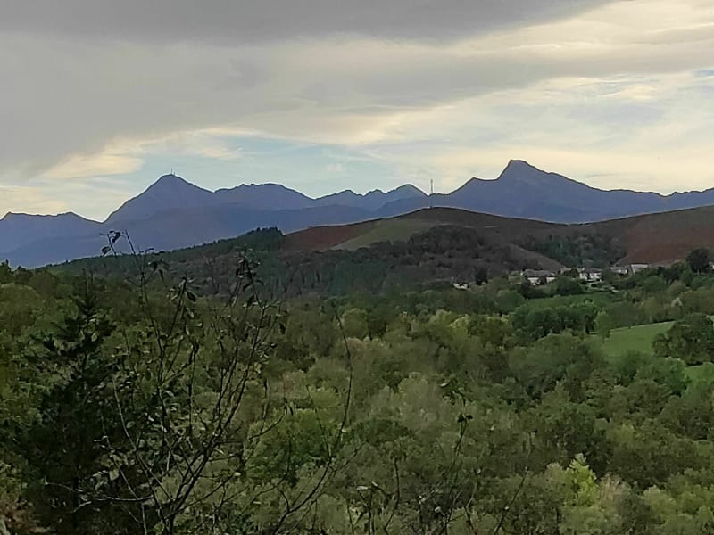 Bois du Mouret par le chemin du Moulié - Lanne