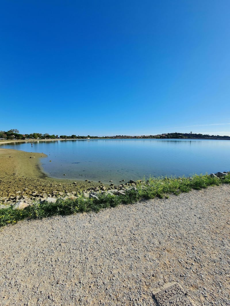 Tour du lac de Villeneuve-de-la-Raho - Villeneuve-de-la-Raho
