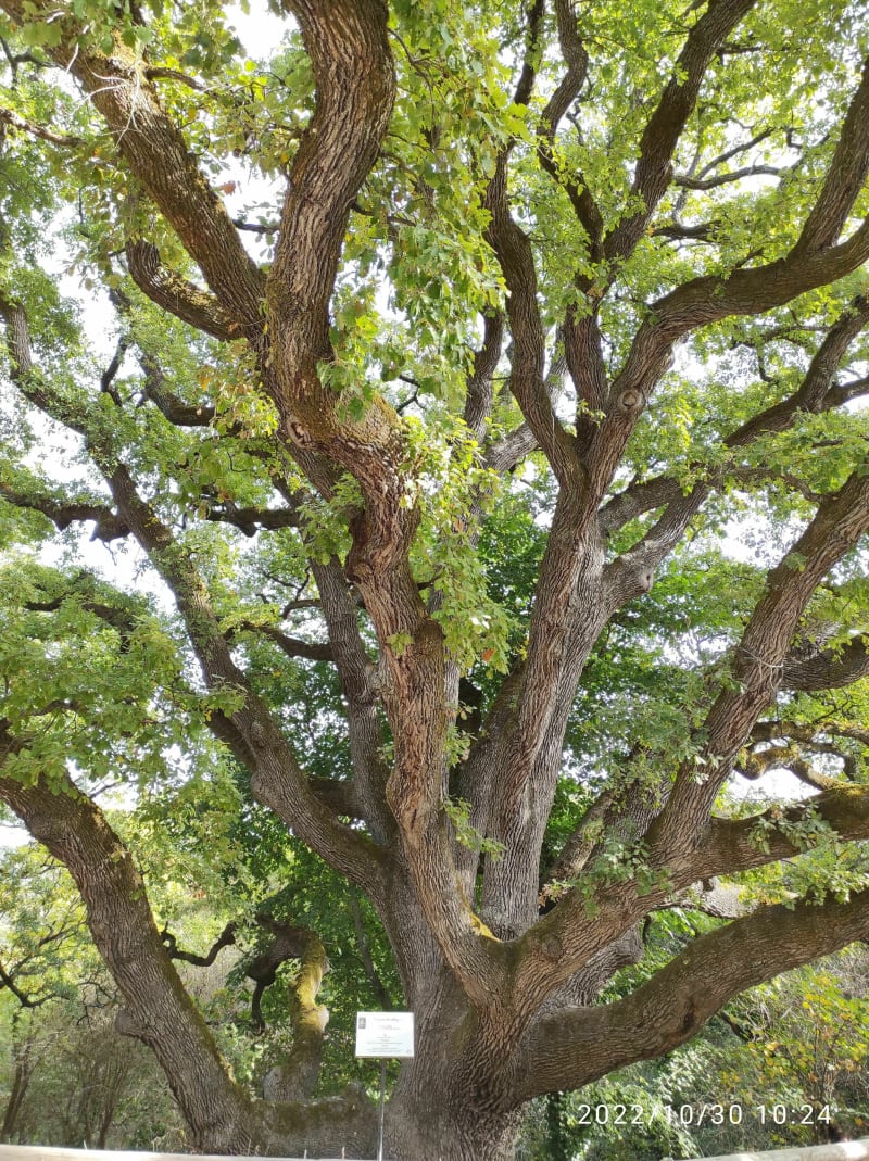De Grambois à la Bastide des Jourdans - Grambois