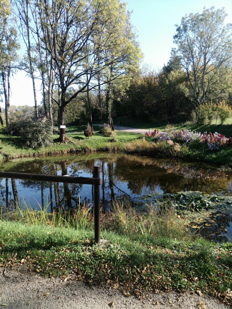 Entre bois et vallée à Beaufort - Beaufort-Orbagna