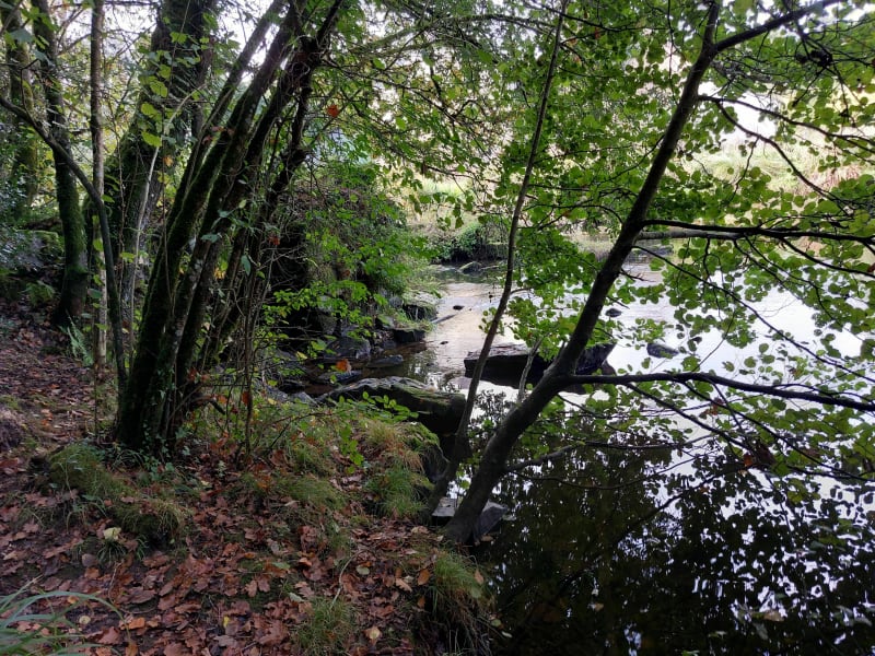 Trégonneau - Plouisy par Castel Pic - Trégonneau