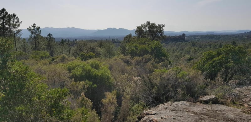 La colle du Rouet - Roquebrune-sur-Argens