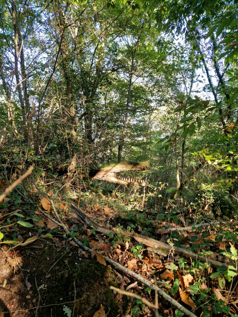 Promenade en bois de Coudane, lac et bois du bas de Bernadin - Nassiet