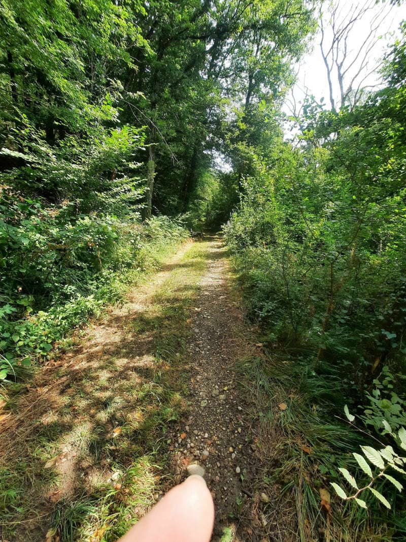 Entre Champs et forêts - Saint-Victor-de-Cessieu