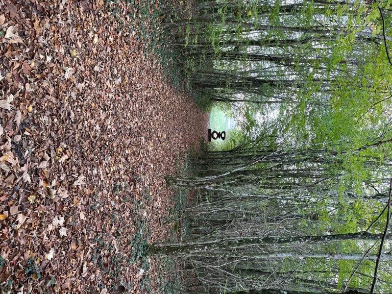 A la découverte infinie des forêts de Meuse - Nicey sur Aire