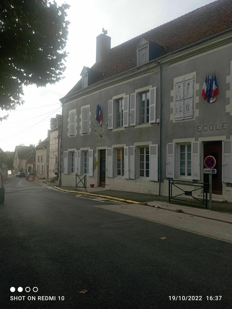 Petite balade dans les bois le long de la Loire à vélo - Châtillon-sur-Loire