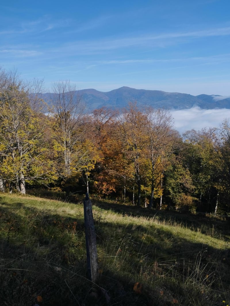Les Chaumes du Thanner Hubel au départ du Hundsruck - Bourbach-le-Haut