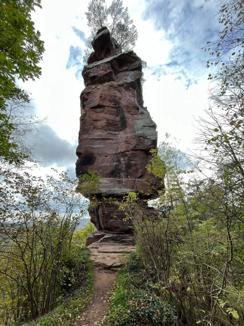 Château du Windstein - Windstein