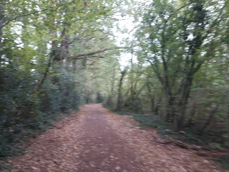 Veyrac et sa promenade campagnarde - Veyrac