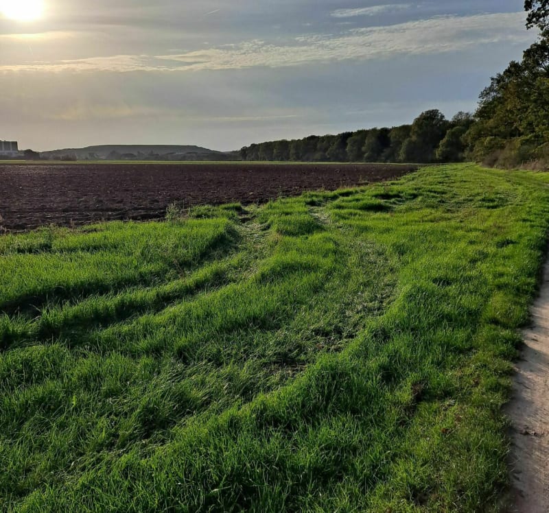 Balade par les sentiers de Lisses à Vert-le-Grand - Lisses