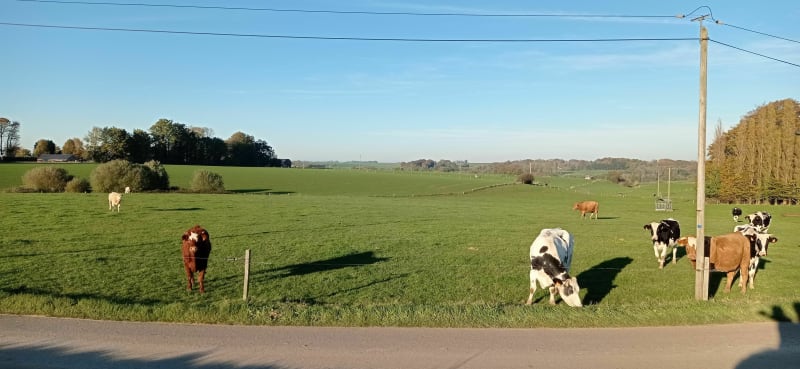 Balade d'Ecrainville du côté de La Pastourelle - Cuverville