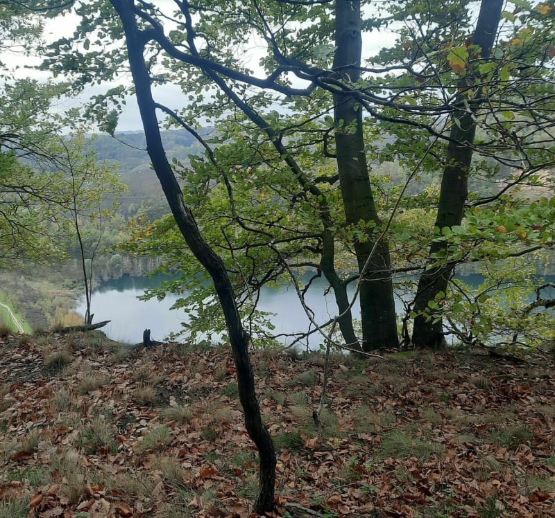 Balade entre Ham-sous-Varsberg l'hôpital et Freyming Merleb - Creutzwald