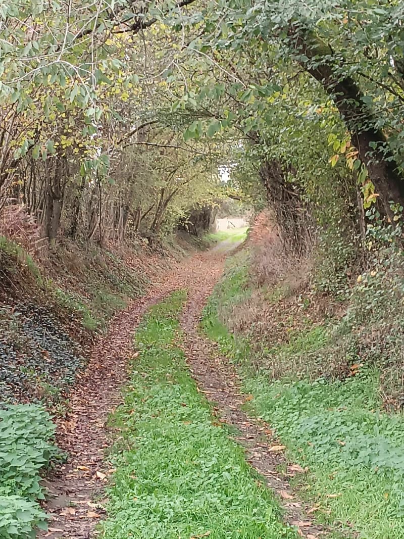 Balade dans le sud de la Sarthe - Nogent-sur-Loir
