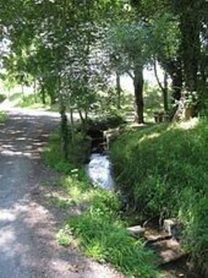 Balade à Préguillac - Préguillac