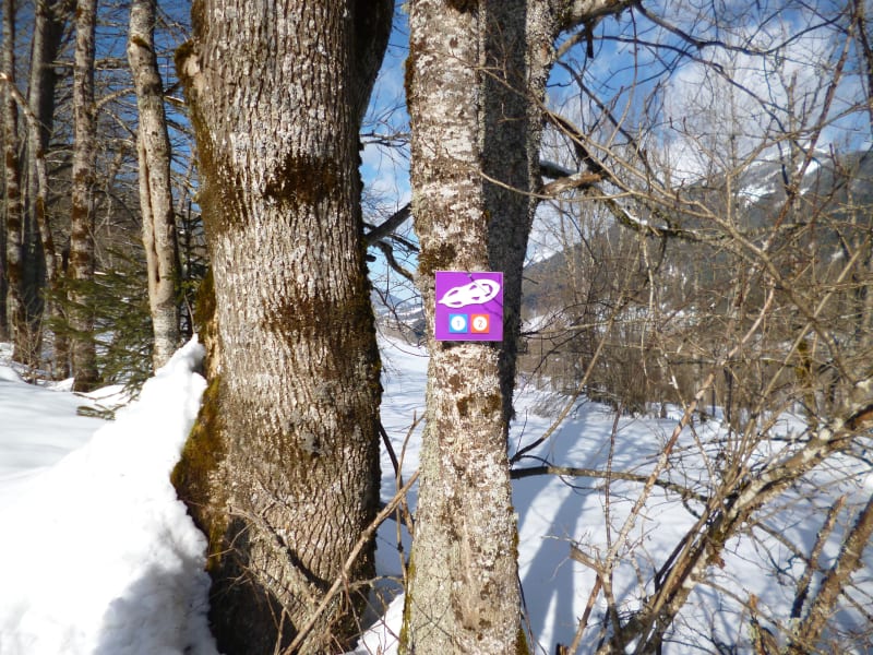 Boucle du Villard - Itinéraire hiver - Saint-Pierre-d'Entremont