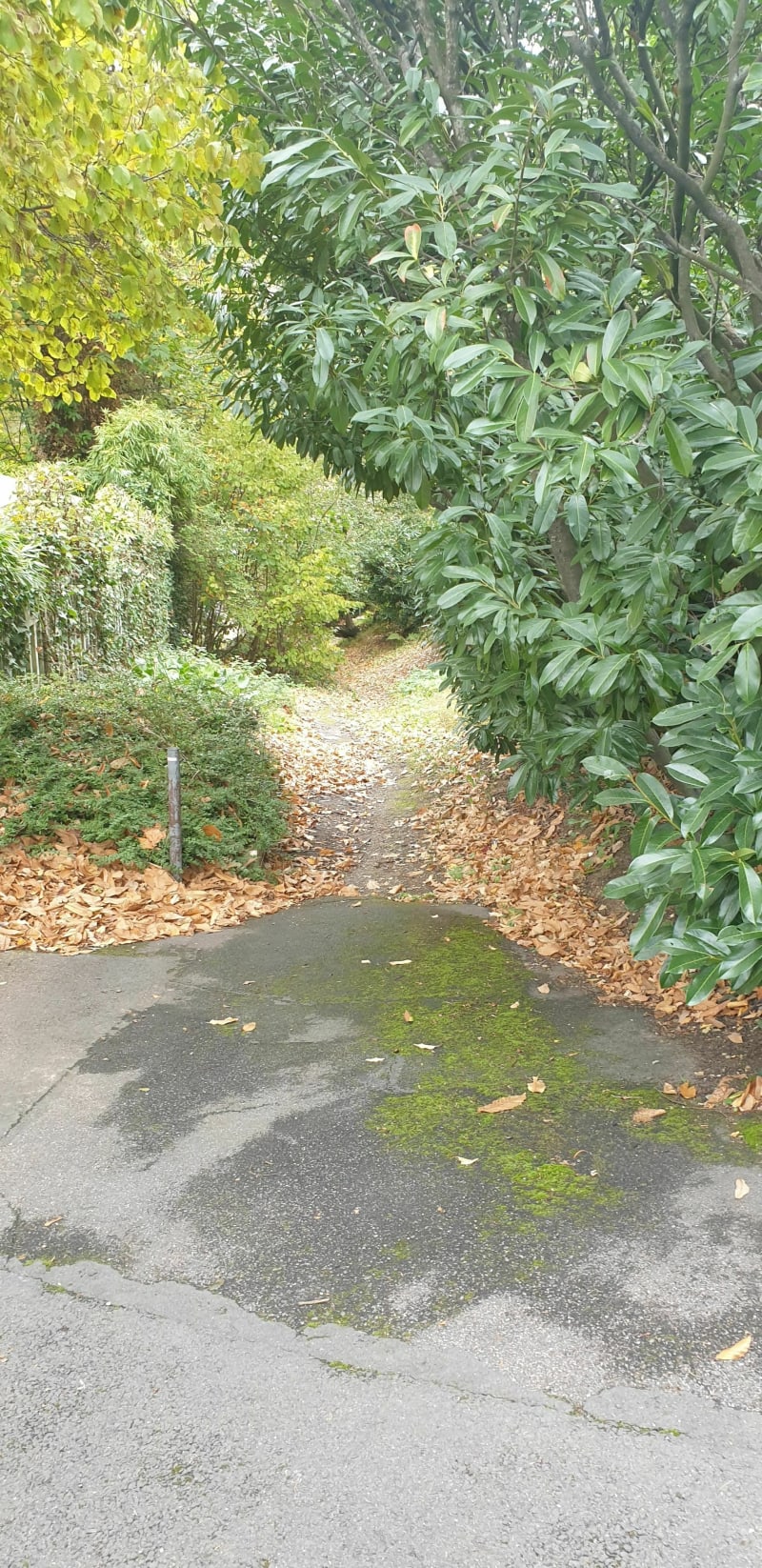 Balade sur le parcours des chemins escarpés - Montmorency