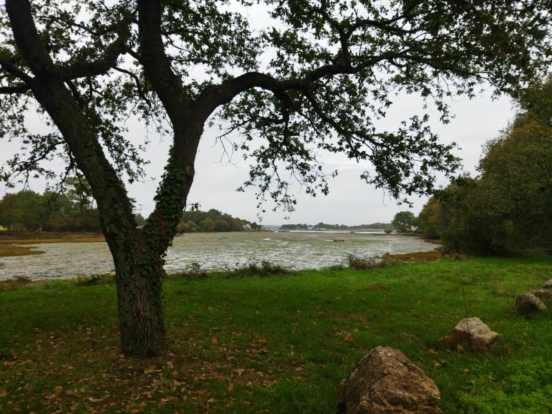 Sainte-Hélène : forêt, hameaux, ria d'Étel - Sainte-Hélène