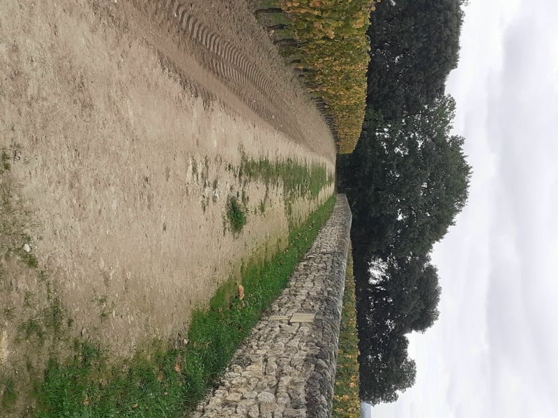 Les vignobles autour de Saint Emilion - Saint Emilion