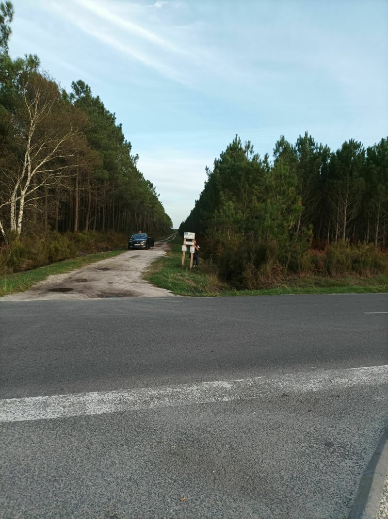 Hourtin entre lac et forêt - Hourtin