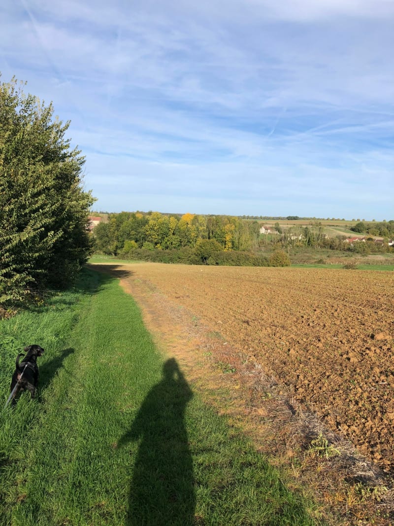 À travers champs - Bouillancy