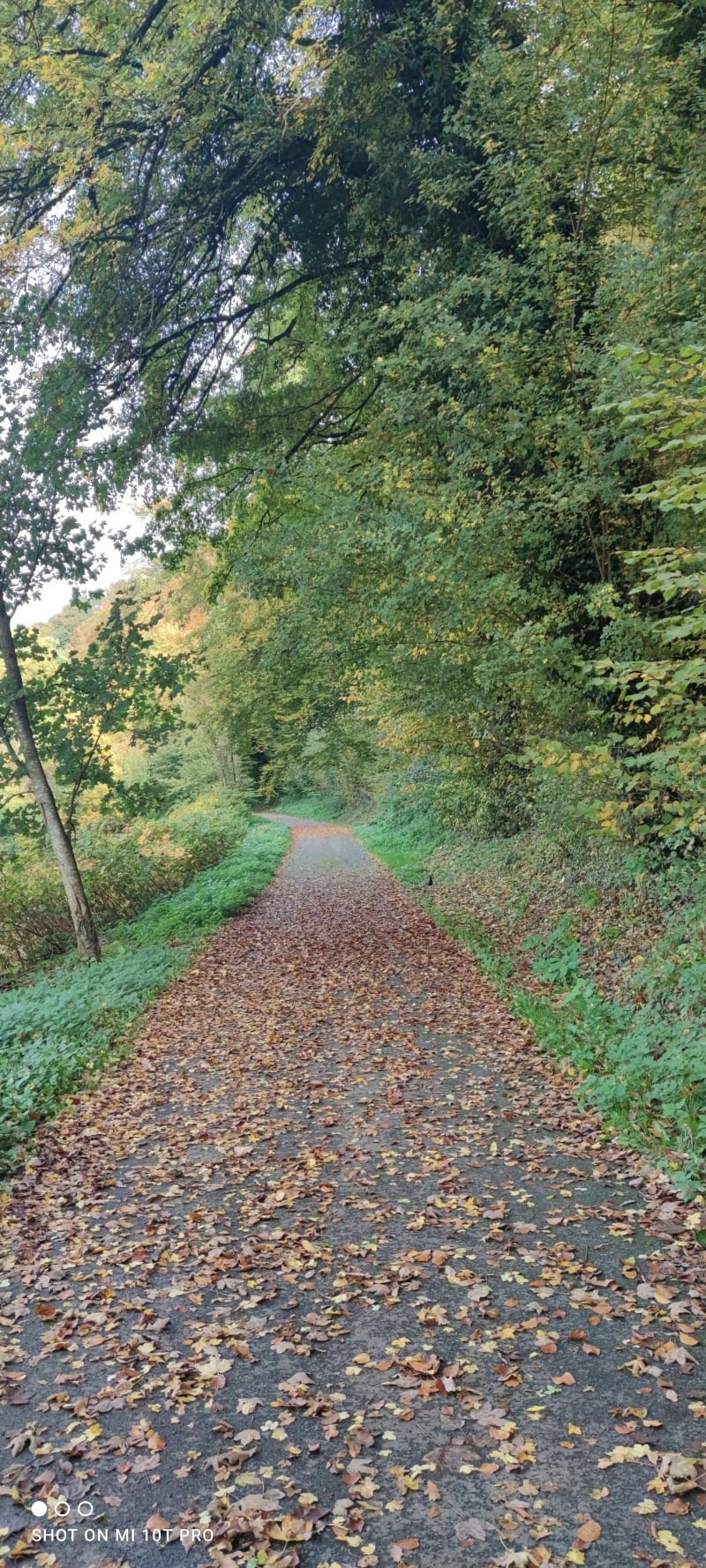 Belle boucle nature autour de Cons-la-Granville - Cons-la-Grandville