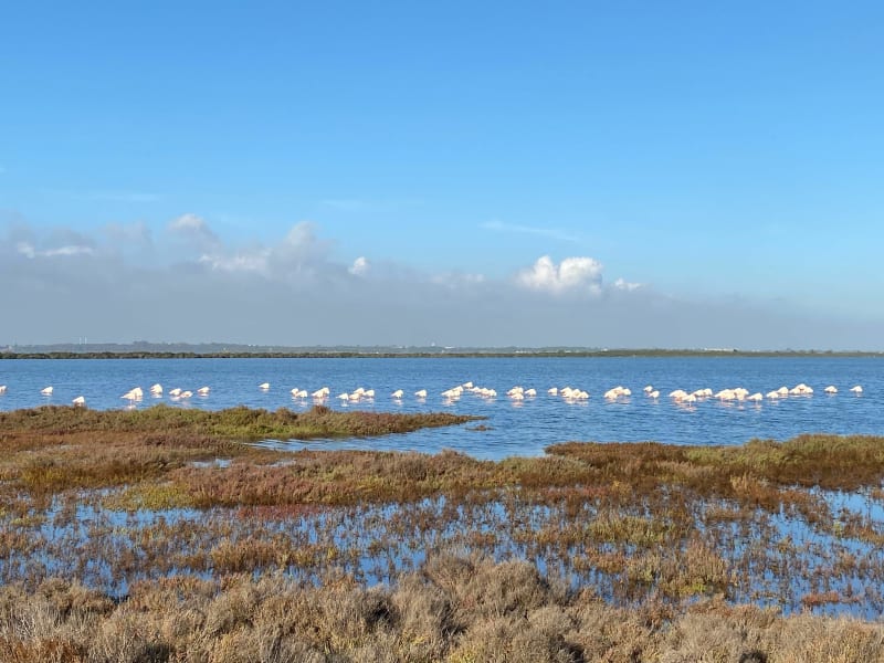Roulez le long de la rivière Lez  jusqu'au bord de la mer - Montpellier