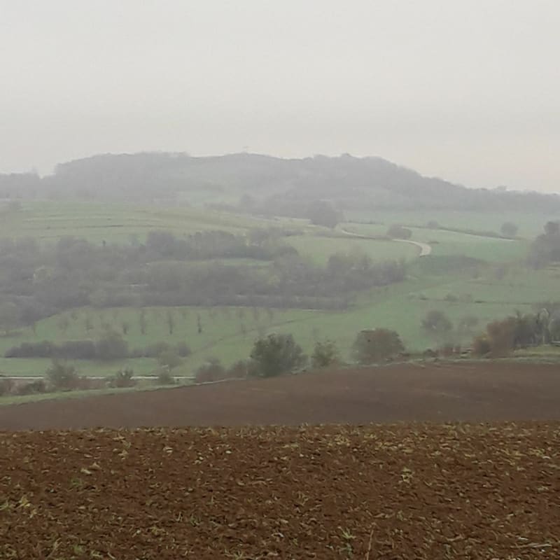 Balade au pied du Kochersberg - Willgottheim