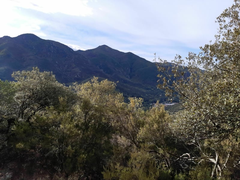 Petite rando de la Rodella - Amélie-les-Bains-Palalda