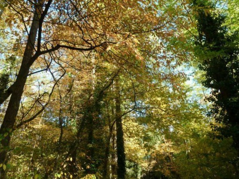 Cerny, petite balade - Cerny