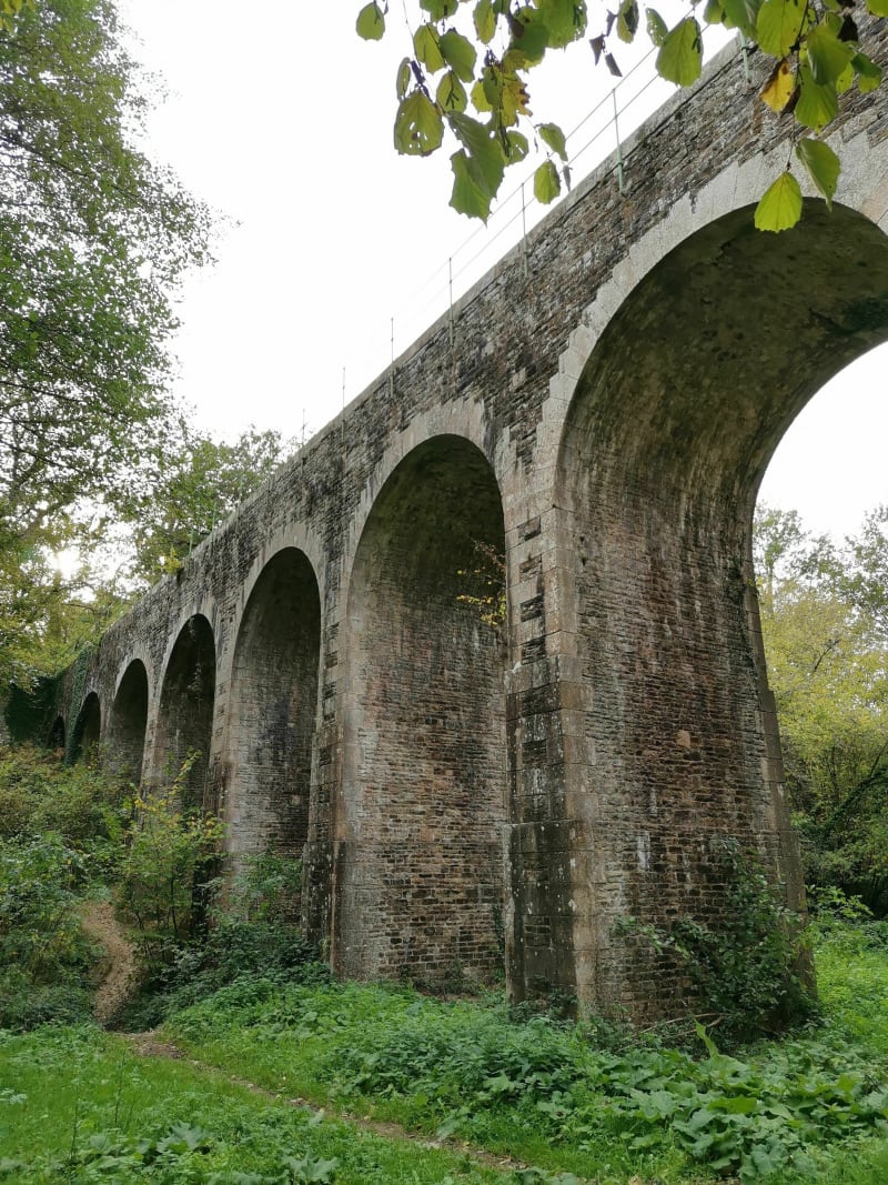 Sentier des arcades (partie 1/2) - Nort-sur-Erdre